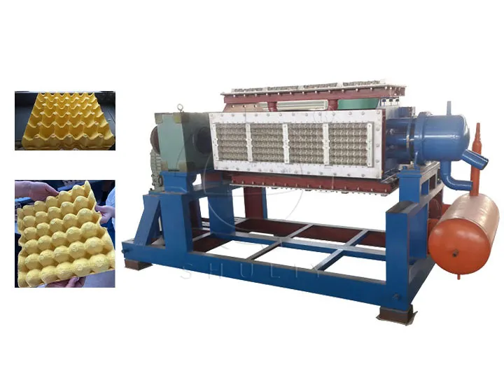 egg carton manufacturing