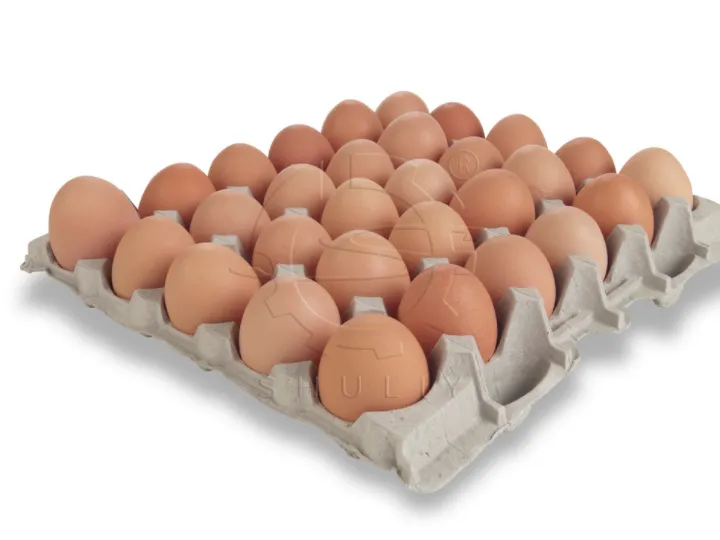 egg cartons