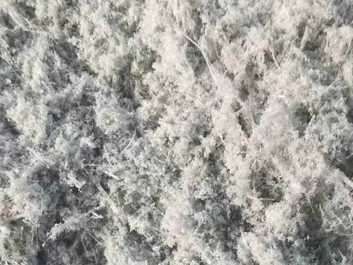 fiber