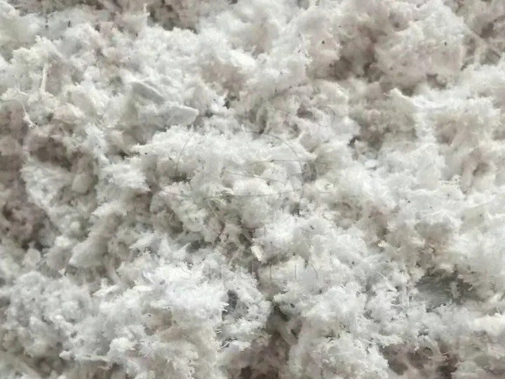 fiber